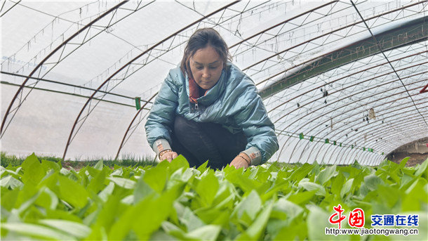 微信图片_20260307235024_14_690