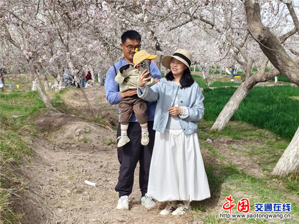 游客在杏花树下拍照打卡。喀伍力江 摄