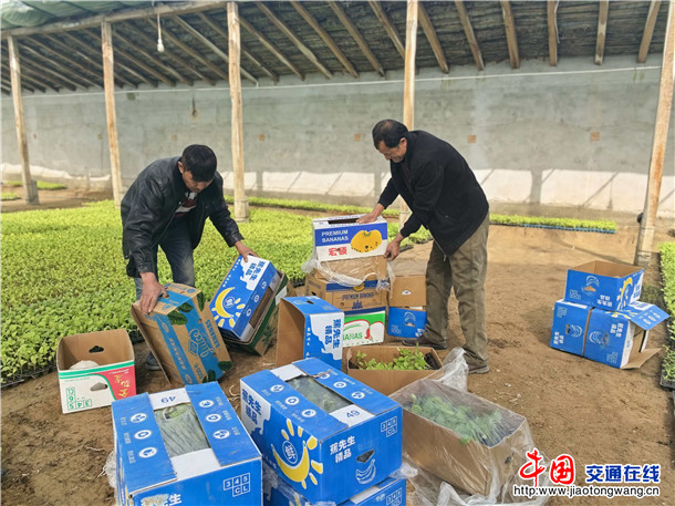 9d0ad148db8a1155d3f0c8a40f7257bc