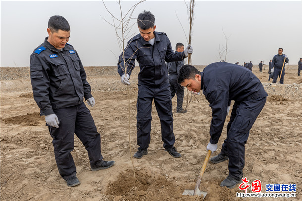 3月11日，在第48个植树节来临之际，叶城县公安局组织全体民辅警前往戈壁边缘植树点，开展义务植树活动，为生态屏障添新绿，为美好家园注活力。（买买提艾则孜·吐拉买提  摄） (10)