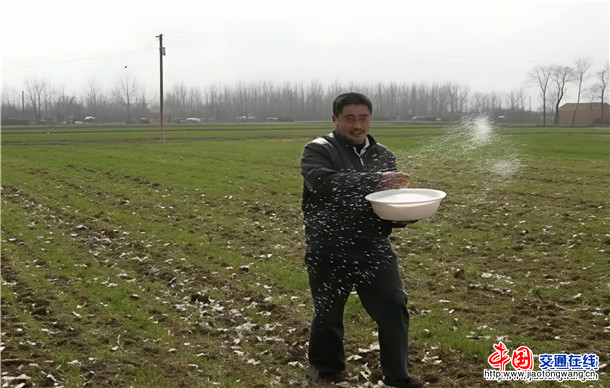 网络资料图-撒化肥