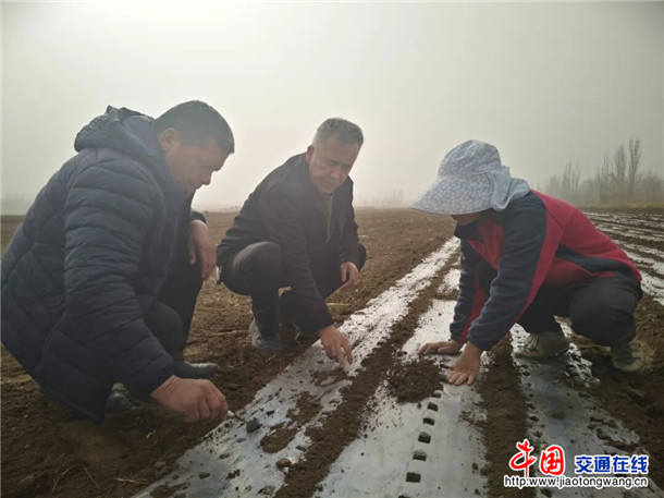 农技人员查看下种情况。喀伍力江 摄