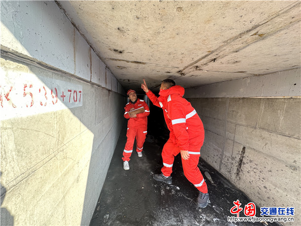 检查桥梁下部结构情况 检查桥梁下部结构情况