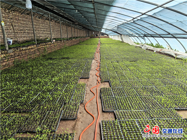 微信图片_20260316163401_3001_3