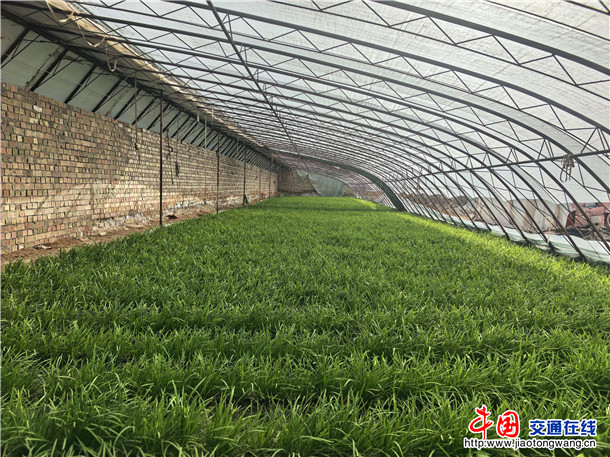 ee79edd3f6c9613efc837345ecb61f22