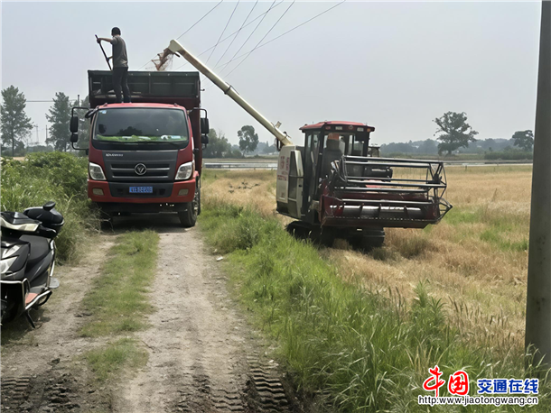 20250610收割小麦