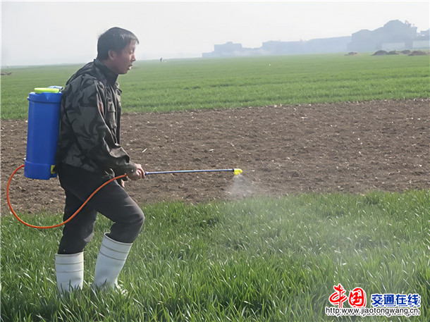 网络资料图-小麦打药