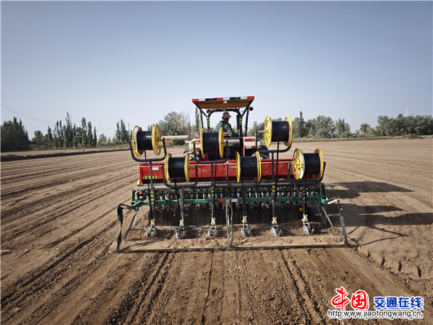 20251009播种小麦