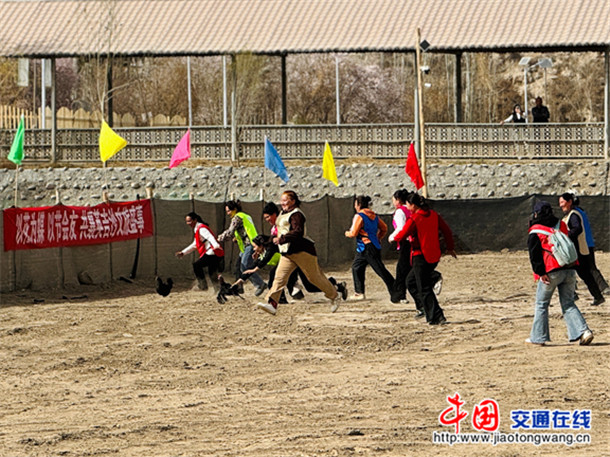 抓鸡比赛现场。娜扎凯提 摄