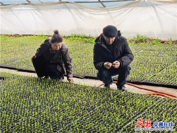 微信图片_20260316163409_3003_3