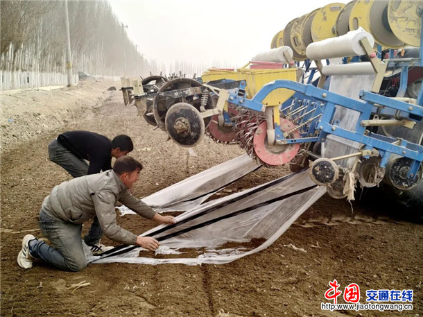 村民铺设地膜、滴灌带。喀伍力江 摄