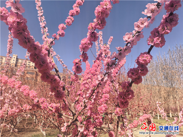 d7be8986aa0643b17e59ab8f4ce35ae4