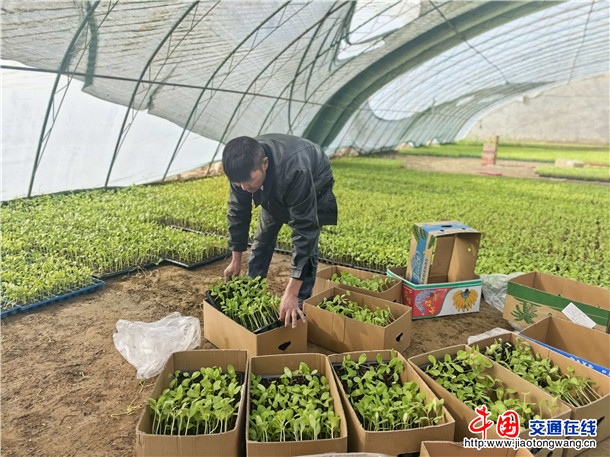 1cee8232781eb14beefca0eef5f019d8