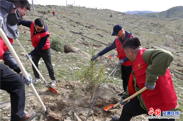 图：参与绿色行动 保护美丽家园阿勒泰公路事业发展中心开展义务植树活动2