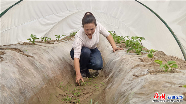 4b327138512bb3ac10eaa7c9a4a868d6 4b327138512bb3ac10eaa7c9a4a868d6