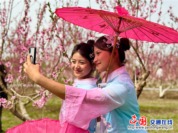 游客与桃花合影。娜扎凯提 摄