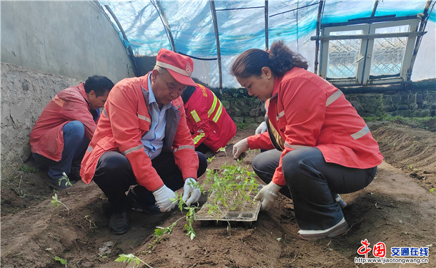 c62f8b9417f3735eb529c6fc47a37c7b