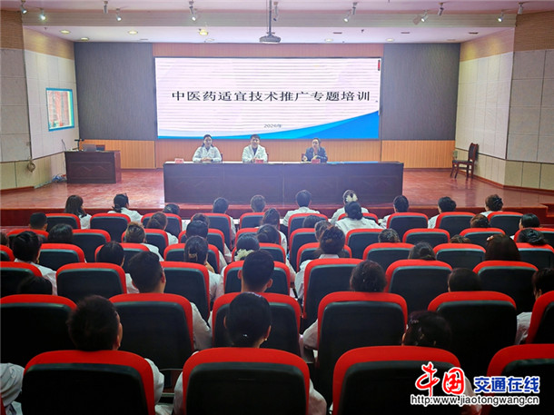 乡村医生中医药适宜技术推广专题培训。郑涛 摄