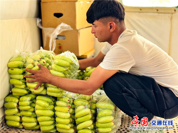 打包水果黄瓜。娜扎凯提 摄