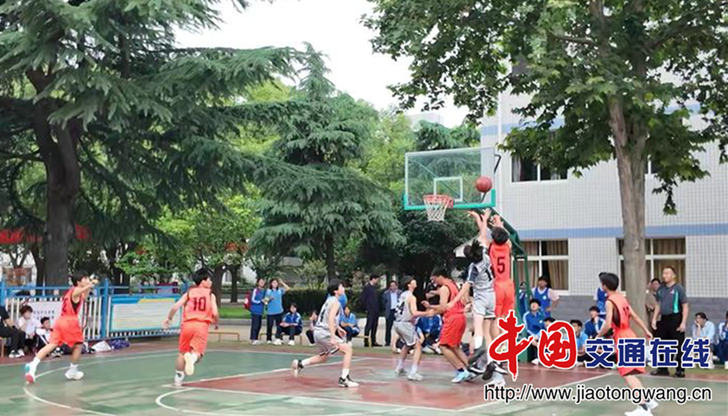 图片13 图片13