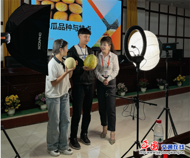 图片6