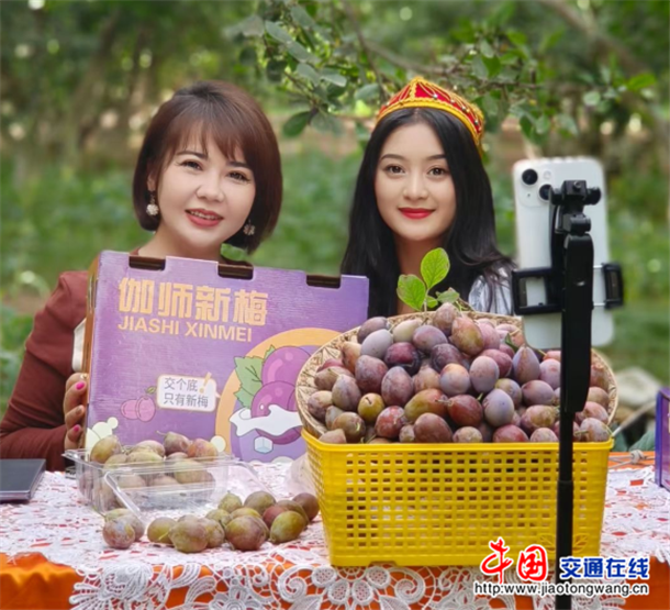 图片7