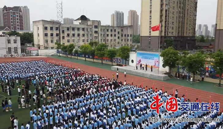 图片5 图片5
