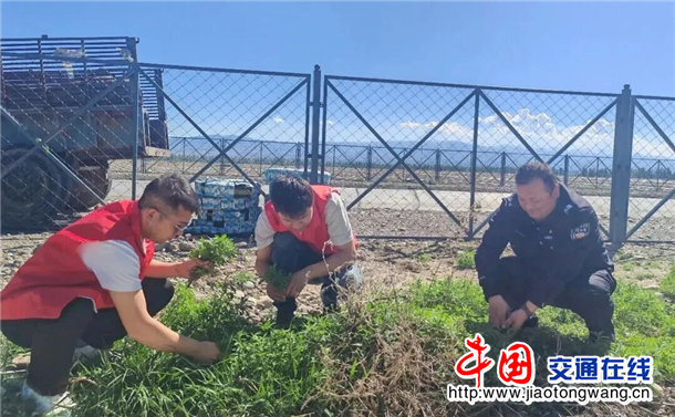图片10
