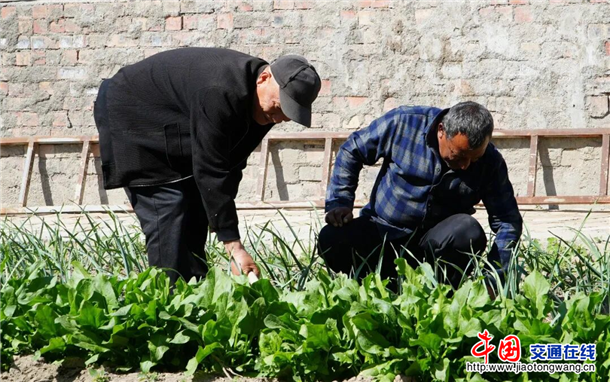 图片7