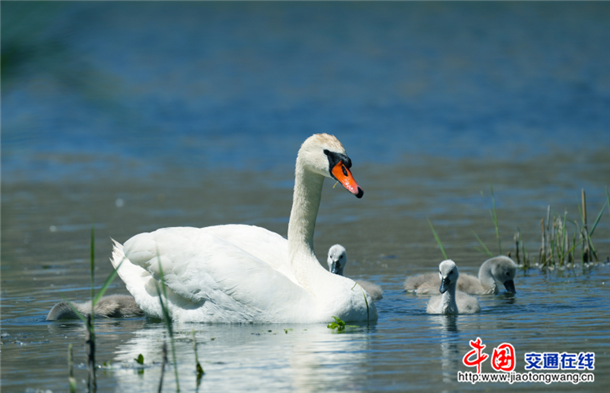 图片9