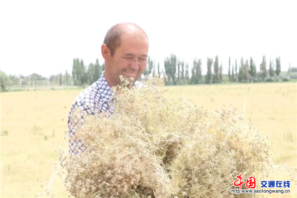 图片7 图片7