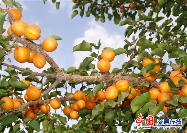 图片2 图片2