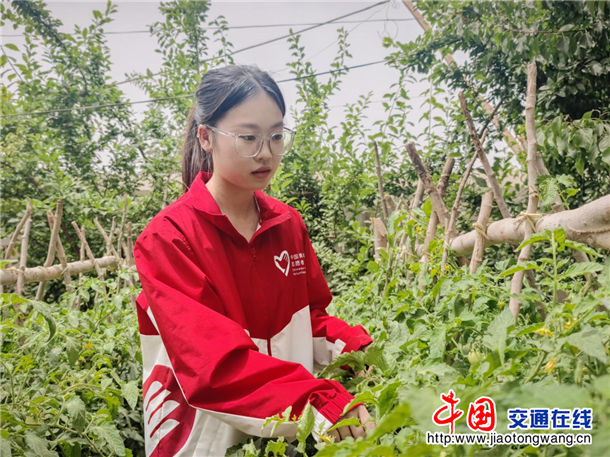 图片2