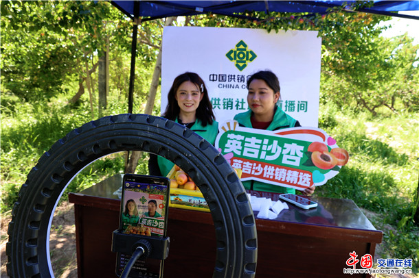 线上直播售卖英吉沙杏。娜扎凯提 摄 线上直播售卖英吉沙杏。娜扎凯提 摄