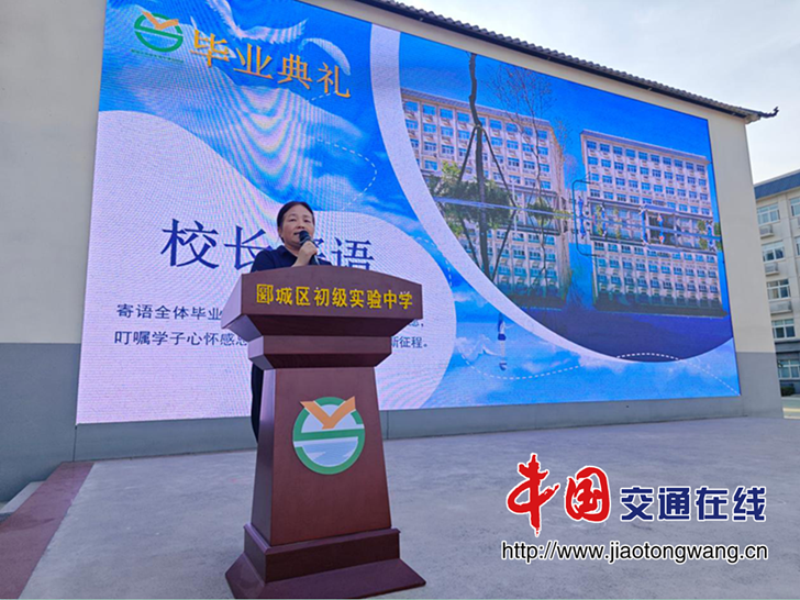 图片2 图片2