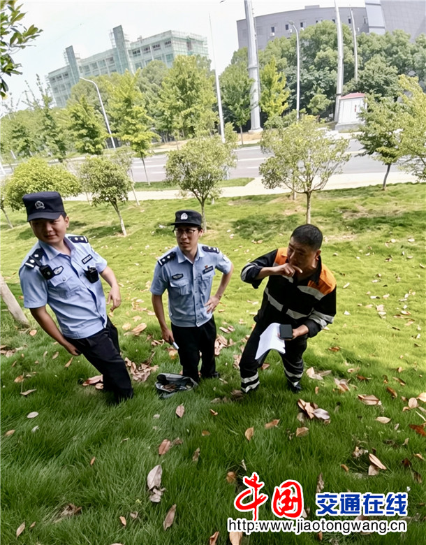 消除铁路沿线危树隐患 (3) 消除铁路沿线危树隐患 (3)