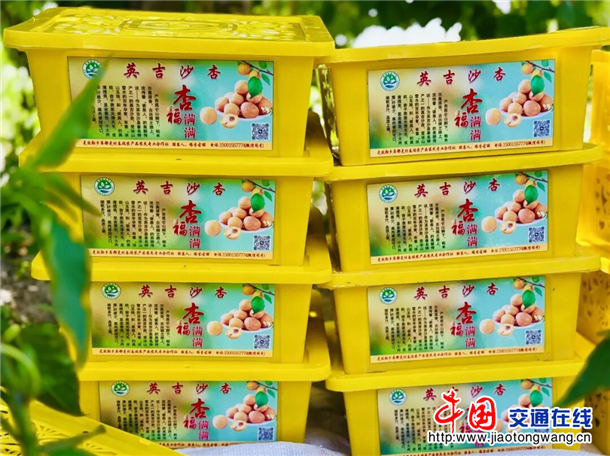 图片5 图片5