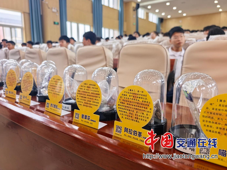图片6 图片6