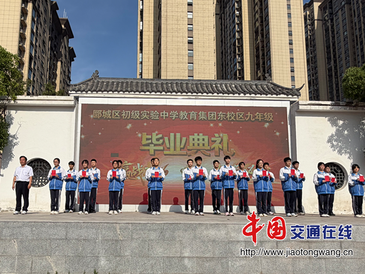 图片15 图片15