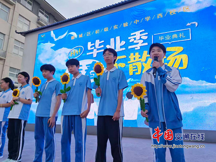 图片16 图片16