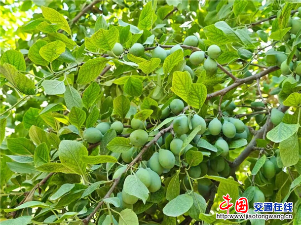 图片3