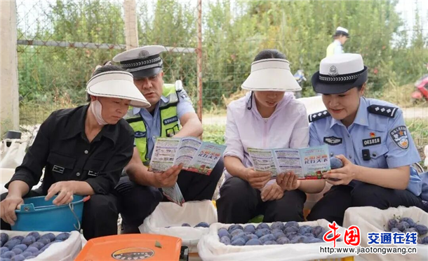 图片3