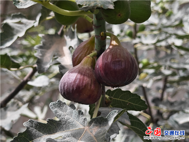 图片2