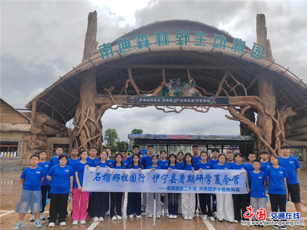 图片6