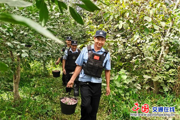 图片6