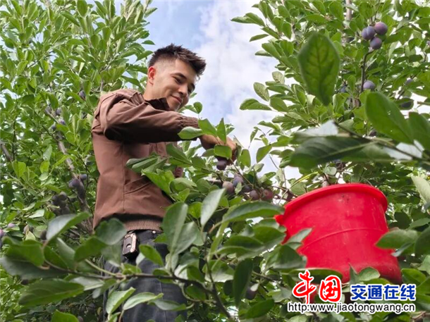 图片7